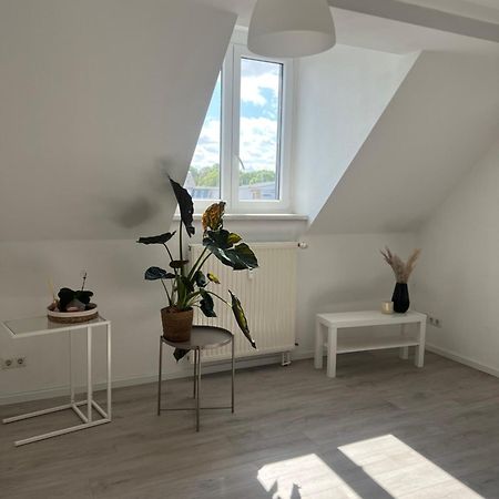 Cozy Work And Stay Pretty Home 开姆尼茨 外观 照片